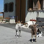 Campingplatz Refugio Del Seekirchen am Wallersee