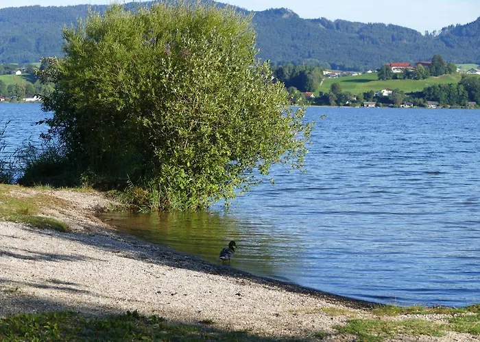 Campsite Refugio Del *
