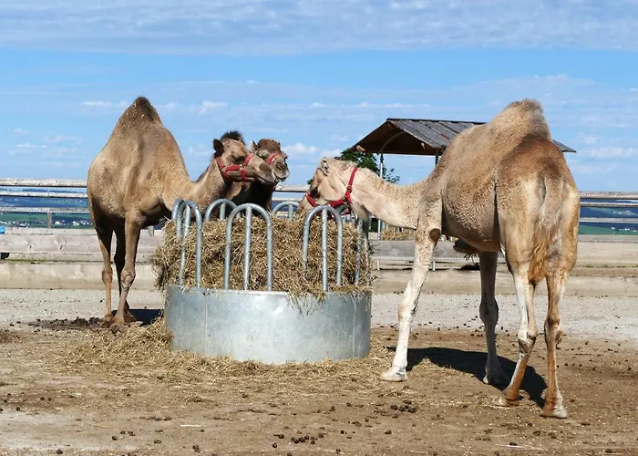 Refugio Del Seekirchen am Wallersee